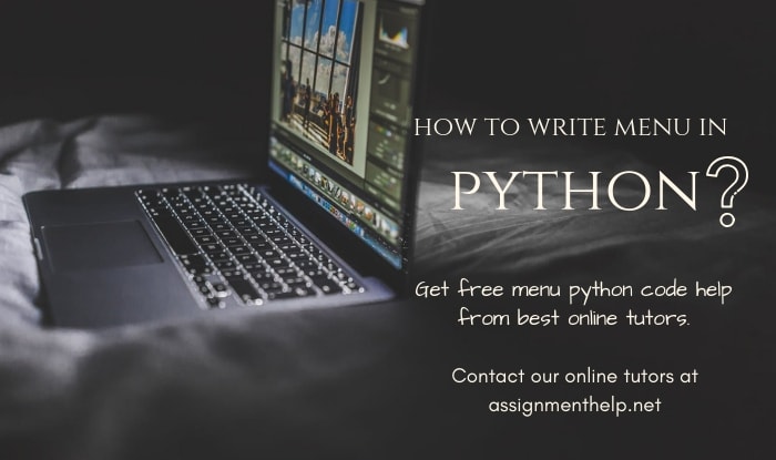 python menu Assignment Help
