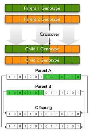 Math 230 project 3 genetic algorithm crossover using MIPs Image 1