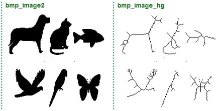 Parallel image processing assignment 1 Image 3