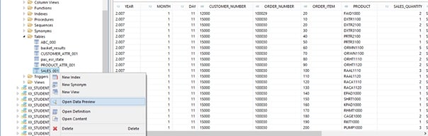 SAP HANA Data Modeling Case Study Image 19