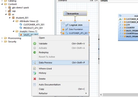 SAP HANA Data Modeling Case Study Image 60