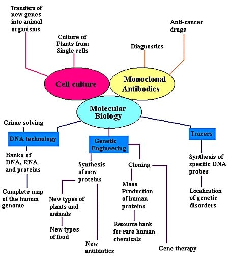 Recombinant DNA Technology Assignment Help