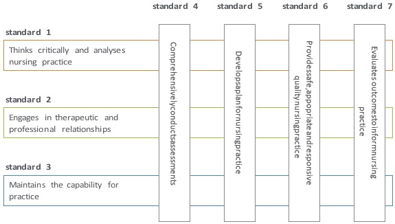 Registered Nurses Standards For Practice img1