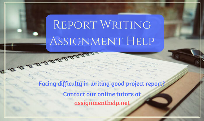 Report Writing Assignment Help