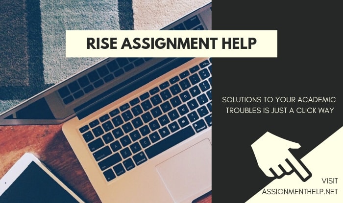 RISE Assignment Help