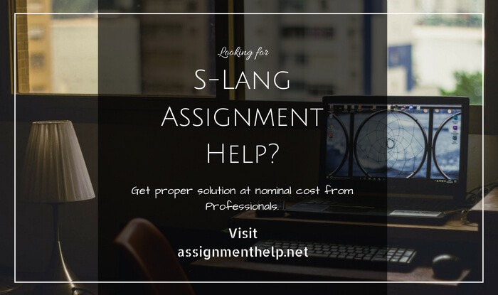 S-Lang Assignment Help