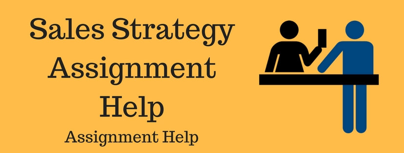 Sales Strategy Assignment Help