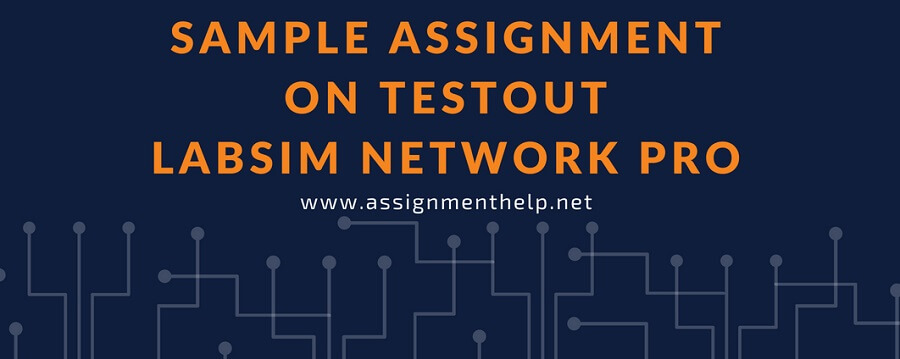 Sample Assignment on Testout Labsim Network Pro