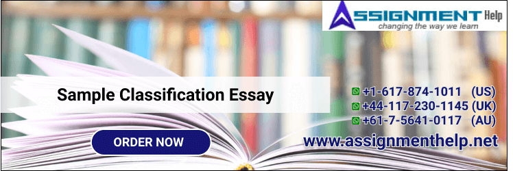 Sample classification essay