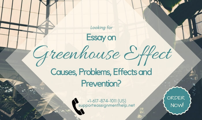 sample essay on greenhouse effect