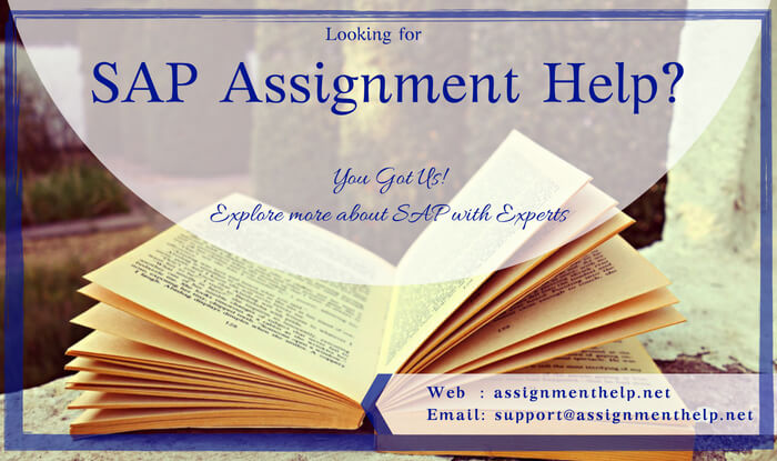 SAP Assignment Help