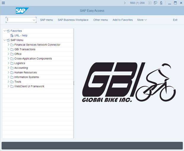 SAP Logon Image 33