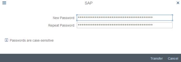 SAP Logon Image 4