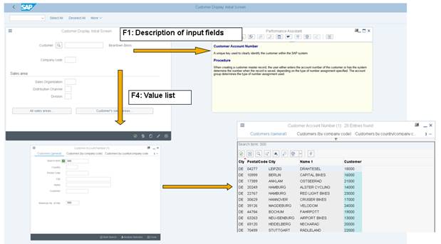 SAP Logon Image 48