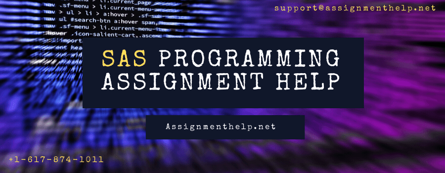 SAS programming Assignment Help