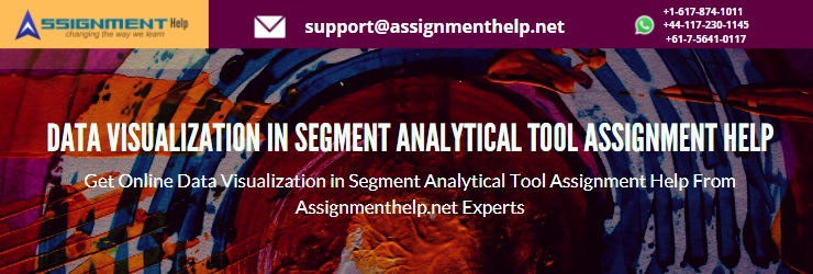 Segment Analytical Tool Assignment Help