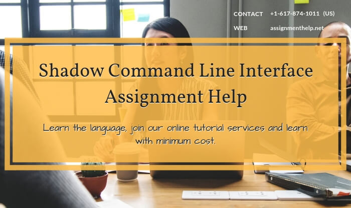 Shadow Command Line Interface Assignment Help