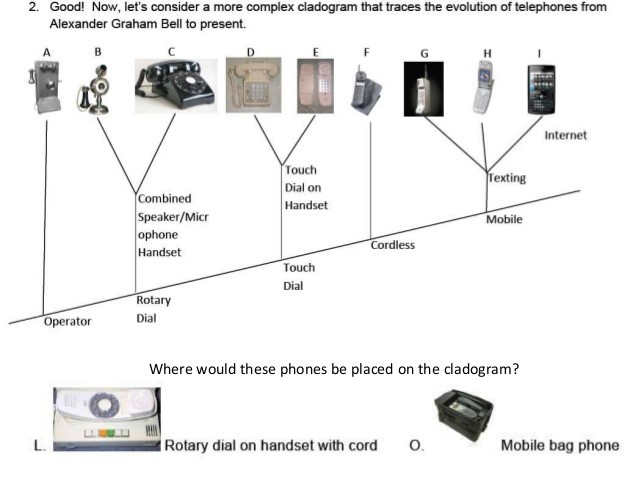 show shared technological relationships