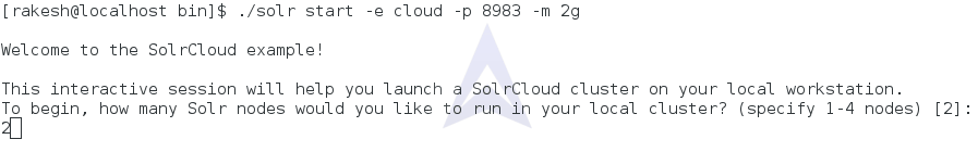 Starting SolrCloud