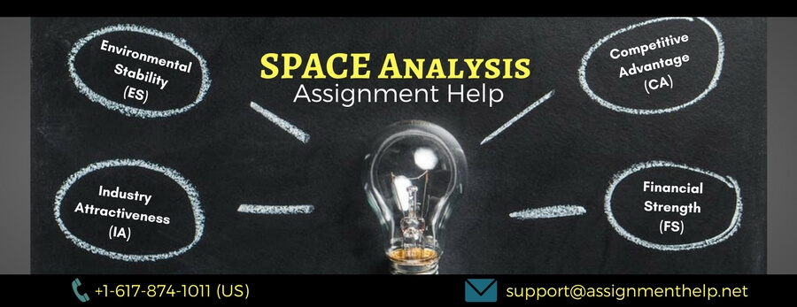 SPACE Analysis Assignment Help