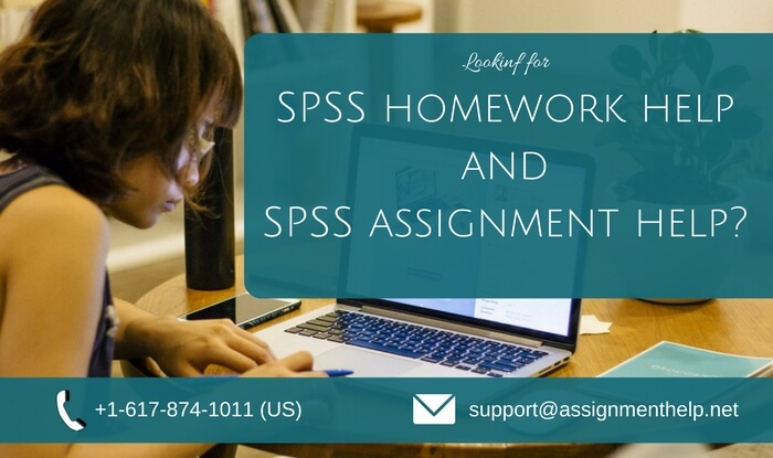 SPSS Assignment Help