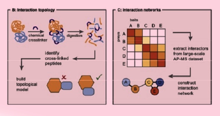 stuctural-proteomatics-and-functional-proteomtcs help code