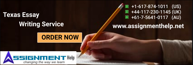 Texas Essay Writing Service