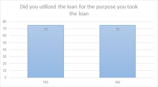 The Impact of Microfinancing img19