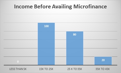 The Impact of Microfinancing img8