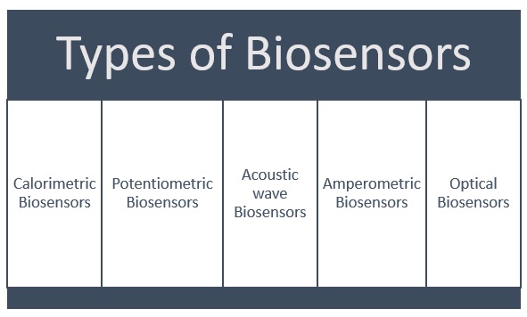 Types of Biosensors
