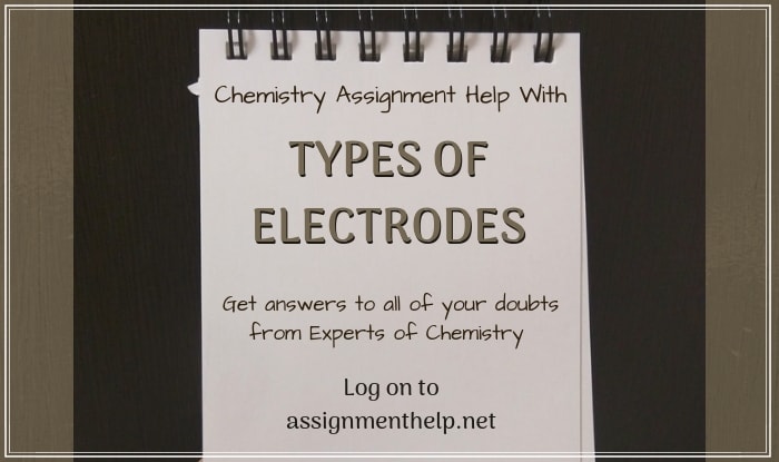 Types of Electrodes Assignment Help