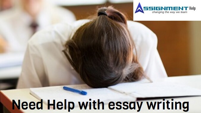 UCLA Essay Writing