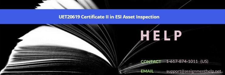 UET20619 Certificate II in ESI Asset Inspection