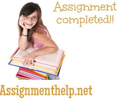 University Assignment Help