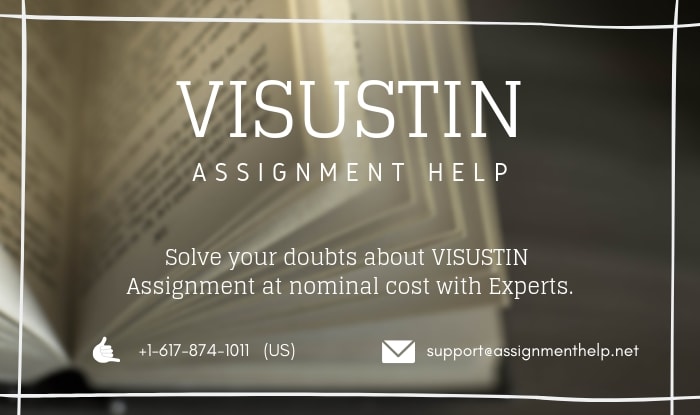 Visustin Assignment Help