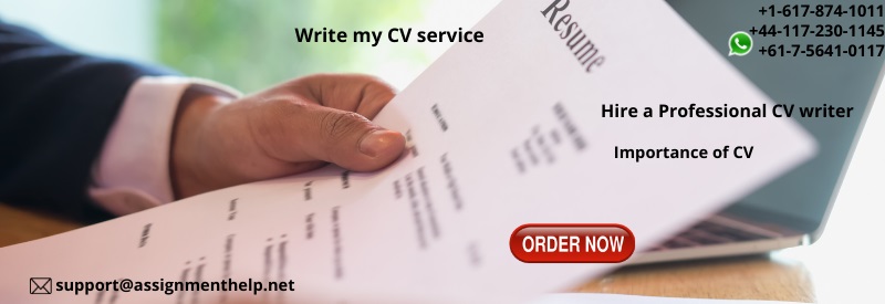 Write my CV service