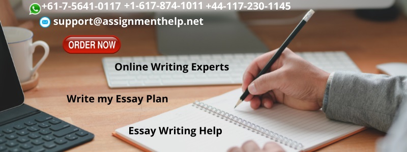 Write my Essay Plan