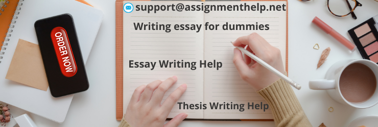 Writing essay for dummies