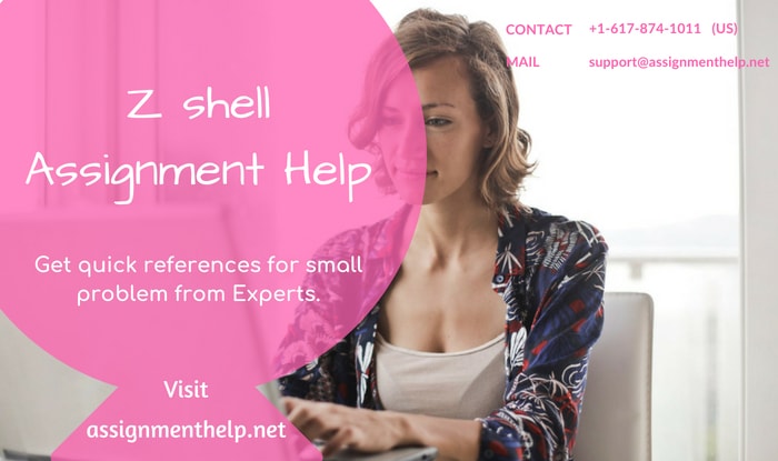 Z shell Assignment Help